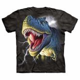 Dino Wear